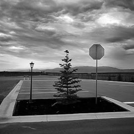 The Land of Enchantment